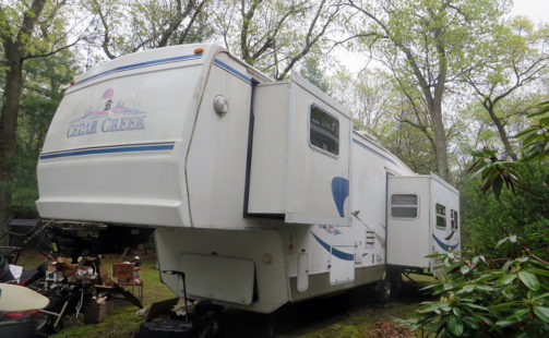 Forest River Cedar Creek 36RLTS